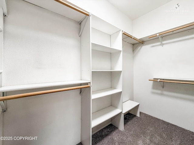 1340 N Rainbow Park Dr, Wasilla, AK 99623 - walk in closet with carpet floors