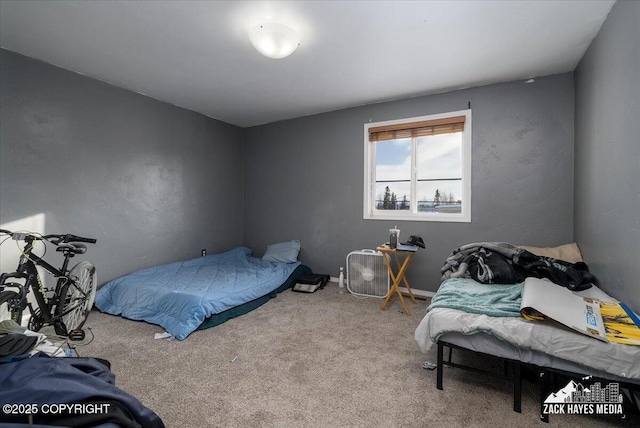 906 W 29th Pl, Anchorage, AK 99503 - view of carpeted bedroom