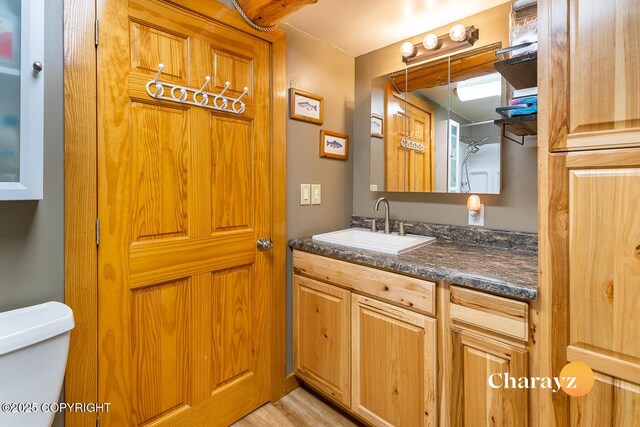 bathroom featuring toilet and vanity