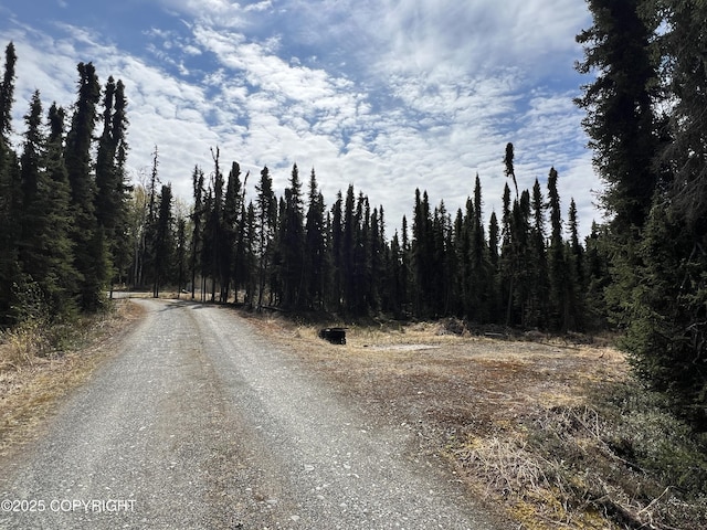 30258 Hook Ln, Soldotna, AK 99669 - view of dirt / gravel road featuring a view of trees