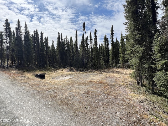 30258 Hook Ln, Soldotna, AK 99669 - view of local wilderness