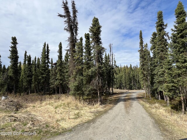 30258 Hook Ln, Soldotna, AK 99669 - view of asphalt road with a view of trees