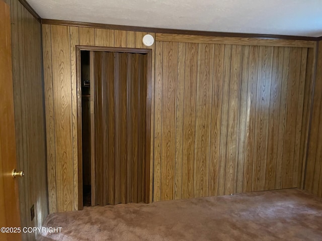 details with wood walls and carpet floors