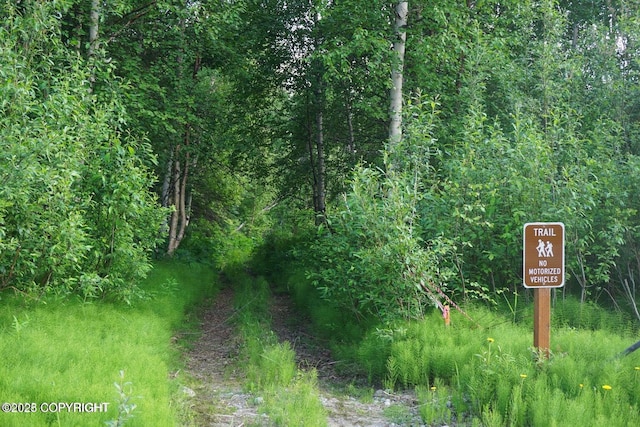 view of nature