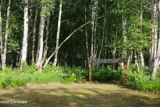 view of local wilderness