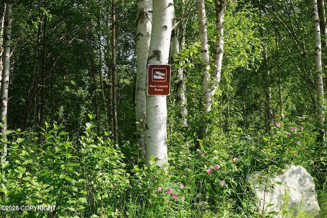 view of details