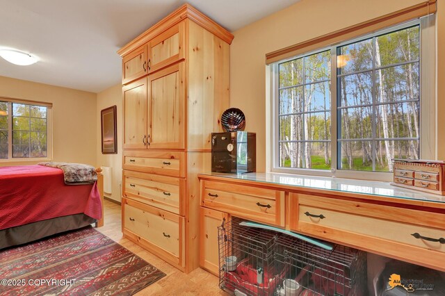 49635 S Hunter Dr, Willow, AK 99688 - bedroom featuring light wood-style flooring