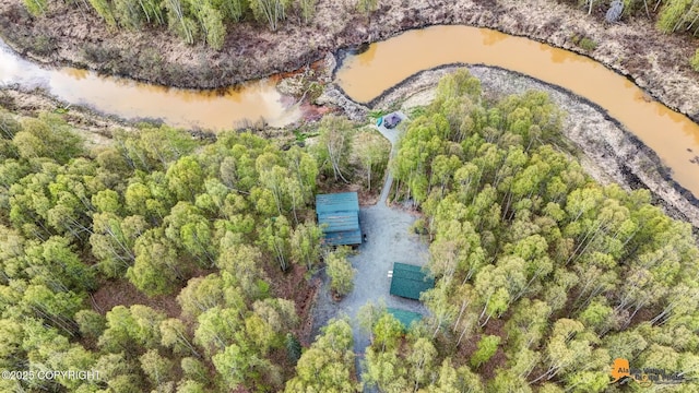49635 S Hunter Dr, Willow, AK 99688 - bird's eye view of a forest