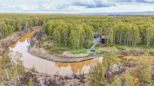 49635 S Hunter Dr, Willow, AK 99688 - aerial view of a forest and a large body of water