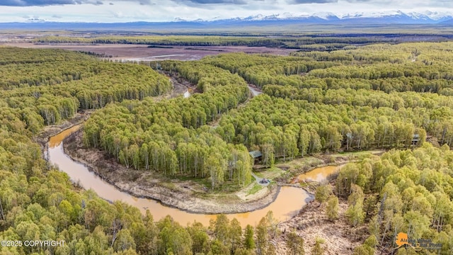 49635 S Hunter Dr, Willow, AK 99688 - drone / aerial view of a heavily wooded area and a nearby body of water