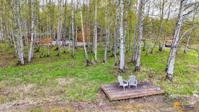 49635 S Hunter Dr, Willow, AK 99688 - view of yard featuring a view of trees