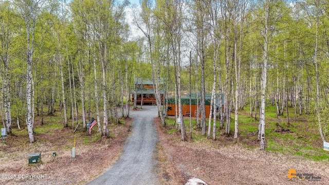 49635 S Hunter Dr, Willow, AK 99688 - view of front of property featuring a view of trees, dirt driveway, and an outbuilding