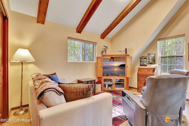 49635 S Hunter Dr, Willow, AK 99688 - living area featuring plenty of natural light and baseboards