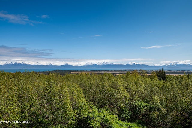 2435 Paradise Pl, Homer, AK 99603 - view of mountain background