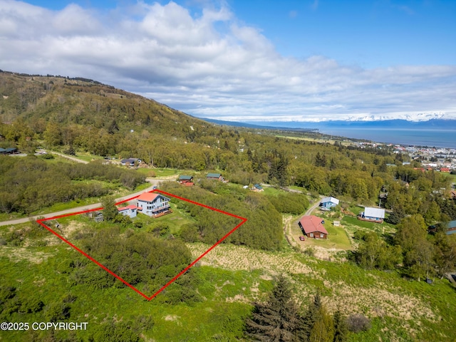 2435 Paradise Pl, Homer, AK 99603 - aerial overview of property's location featuring property parcel outlined and a mountainous background