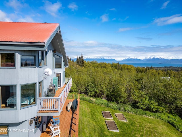 2435 Paradise Pl, Homer, AK 99603 - view of grassy yard with a mountain view and a wooded view