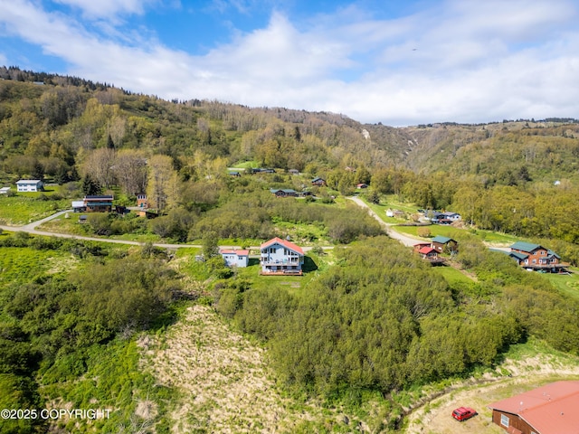 2435 Paradise Pl, Homer, AK 99603 - bird's eye view of a heavily wooded area