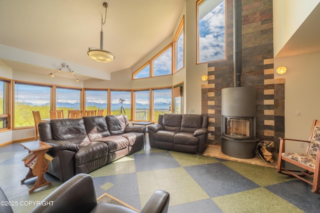 2435 Paradise Pl, Homer, AK 99603 - living room with a wood stove and a towering ceiling