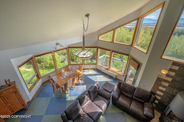 2435 Paradise Pl, Homer, AK 99603 - carpeted living room with high vaulted ceiling