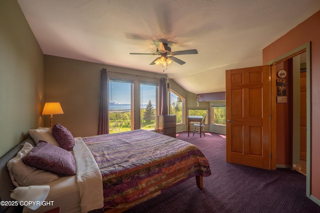 2435 Paradise Pl, Homer, AK 99603 - carpeted bedroom with multiple windows, lofted ceiling, a ceiling fan, and baseboards