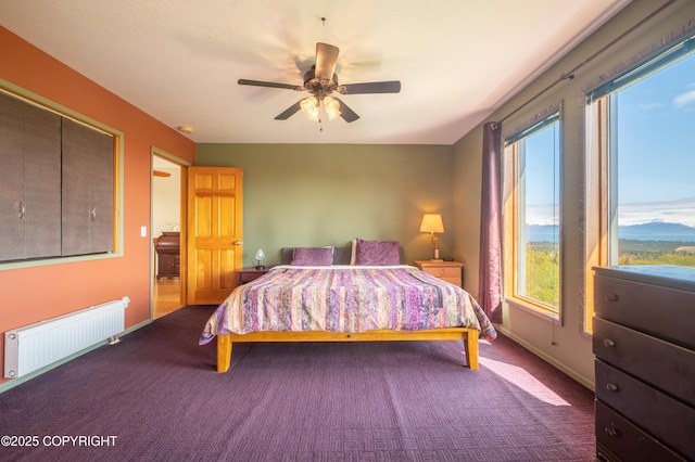 2435 Paradise Pl, Homer, AK 99603 - bedroom featuring radiator heating unit, multiple windows, carpet, and baseboards