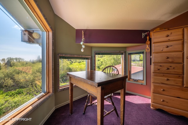 2435 Paradise Pl, Homer, AK 99603 - office space with baseboards, dark carpet, plenty of natural light, and lofted ceiling