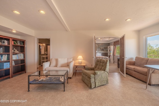 2435 Paradise Pl, Homer, AK 99603 - living room featuring recessed lighting and a textured ceiling