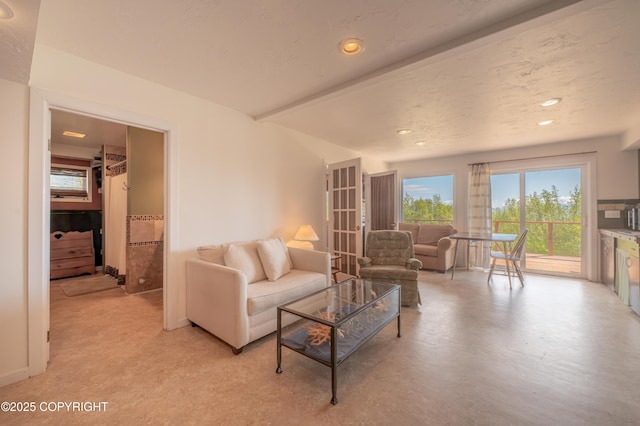 2435 Paradise Pl, Homer, AK 99603 - living room with recessed lighting