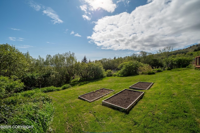 2435 Paradise Pl, Homer, AK 99603 - view of green lawn with a vegetable garden