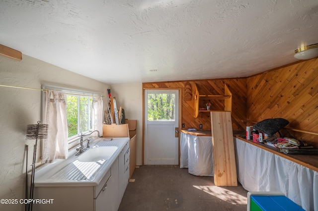 2435 Paradise Pl, Homer, AK 99603 - laundry area with healthy amount of natural light, a sink, wood walls, and a textured ceiling
