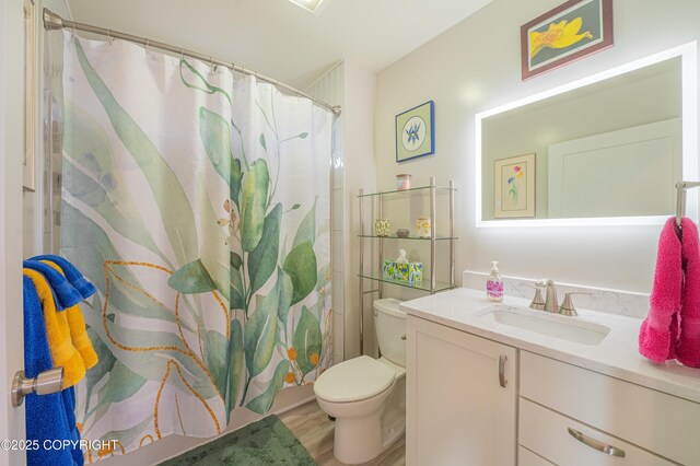 437 W Fairview Ave, Homer, AK 99603 - full bathroom with vanity, toilet, wood finished floors, and curtained shower