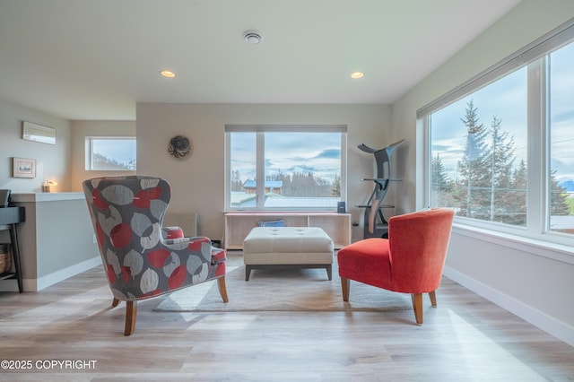 437 W Fairview Ave, Homer, AK 99603 - living area with baseboards, wood finished floors, and recessed lighting