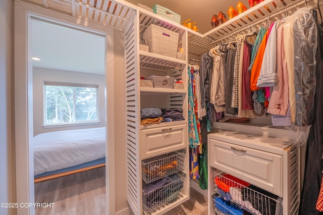 437 W Fairview Ave, Homer, AK 99603 - walk in closet with wood finished floors