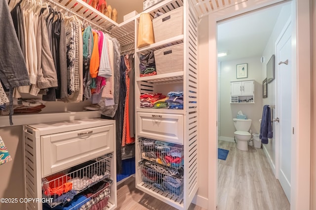437 W Fairview Ave, Homer, AK 99603 - walk in closet with light wood-type flooring
