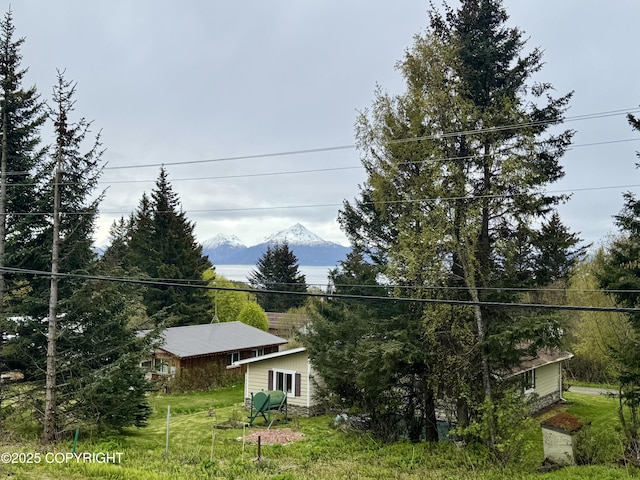 437 W Fairview Ave, Homer, AK 99603 - view of green lawn with a mountain view