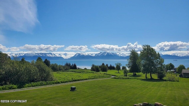 41345 Alan St, Homer, AK 99603 - view of home's community featuring a lawn and a water and mountain view