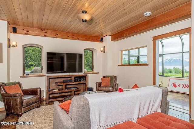41345 Alan St, Homer, AK 99603 - living area with beamed ceiling and wooden ceiling