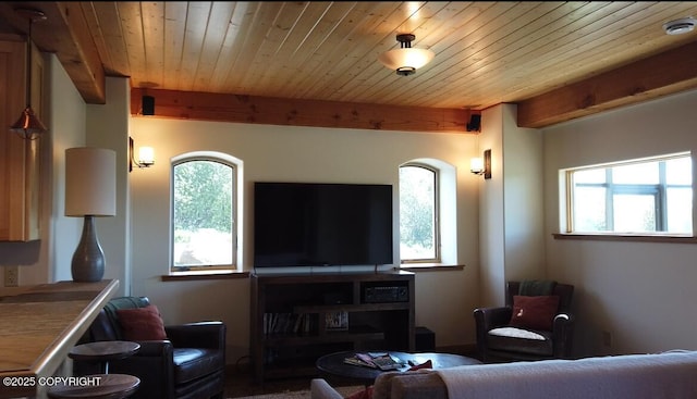 41345 Alan St, Homer, AK 99603 - living area with beam ceiling and wooden ceiling
