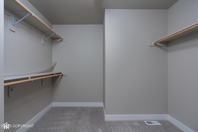 spacious closet featuring carpet floors