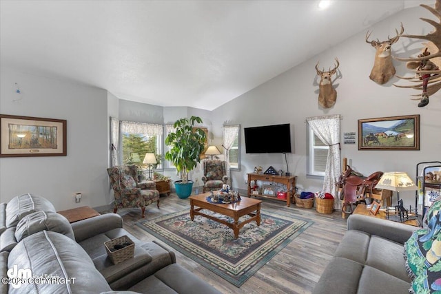 living room with lofted ceiling and wood finished floors