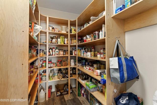 view of pantry