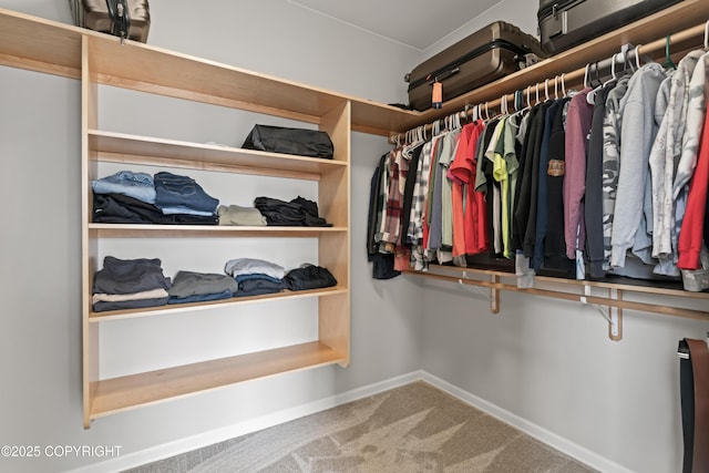 spacious closet with carpet floors
