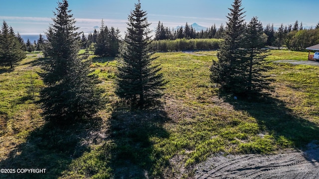 70859 Tall Tree Ave, Anchor Point, AK 99556 - view of yard