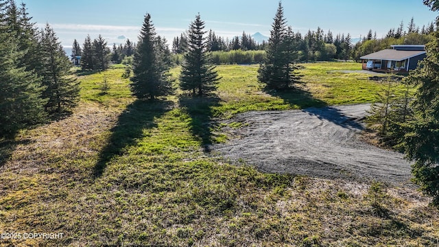 70859 Tall Tree Ave, Anchor Point, AK 99556 - view of yard