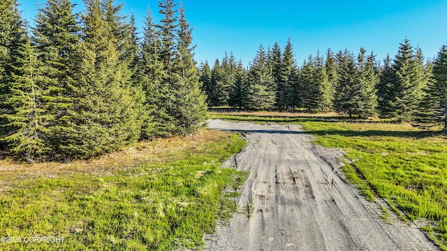 70859 Tall Tree Ave, Anchor Point, AK 99556 - view of dirt / gravel road