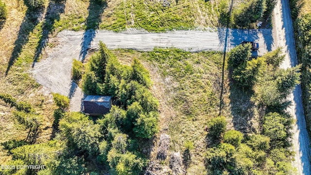 70859 Tall Tree Ave, Anchor Point, AK 99556 - view of subject property