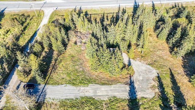 70859 Tall Tree Ave, Anchor Point, AK 99556 - aerial view