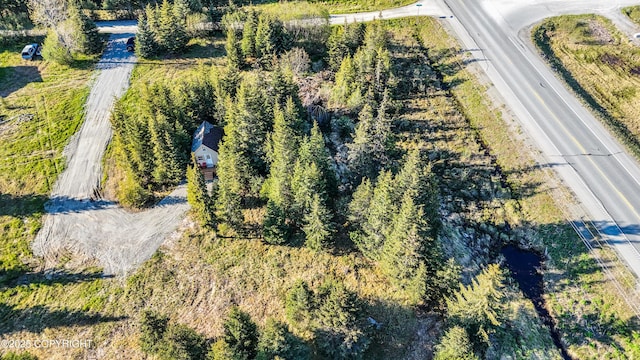 70859 Tall Tree Ave, Anchor Point, AK 99556 - drone / aerial view