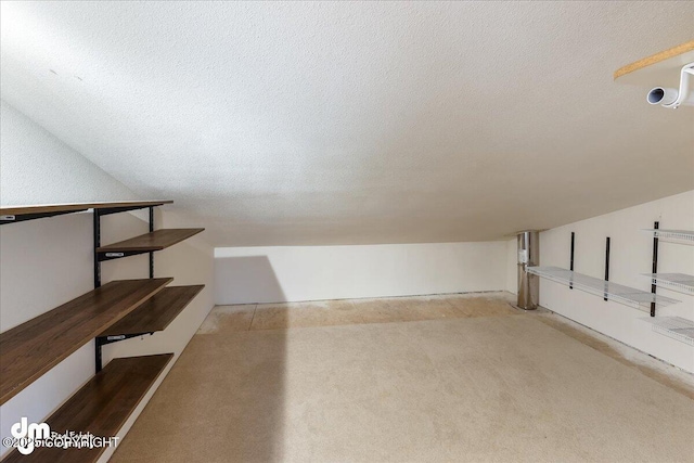 additional living space featuring carpet flooring and a textured ceiling