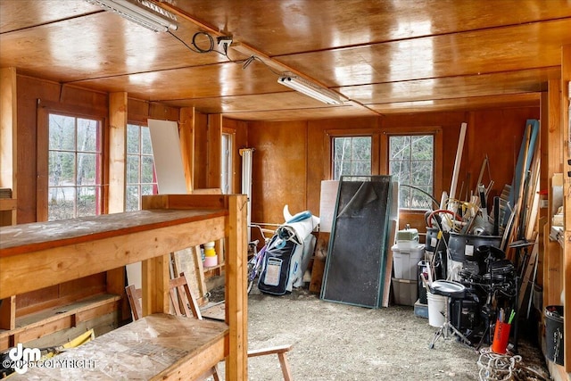 interior space with a wealth of natural light